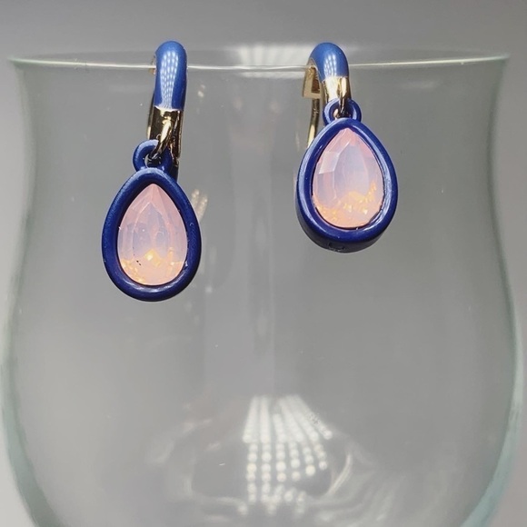 Blue earrings with pink gem in the middle - Picture 1 of 1